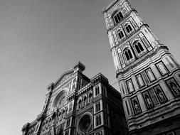 Firenze Florence Italy