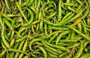 long bean pods