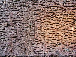 old Stone Brick Texture