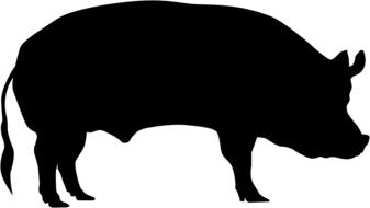 pig sow animal farm symbol icon