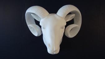 Goat Ram Head