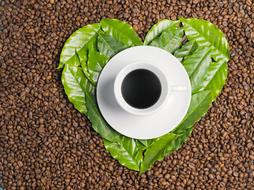 love of coffee