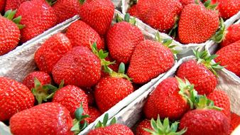 Juicy strawberries in a box