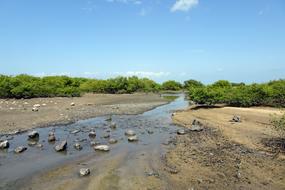 river on the rocky beach