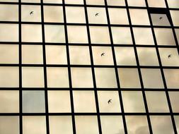 Window Glass Modern sky