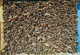 Texture Fire Wood stack in Village