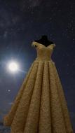 Dress Wedding