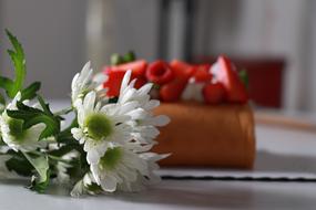 white flowers near baked goods