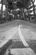 Street Italy Black And White