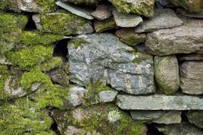 Stone Wall Moss structure Texture