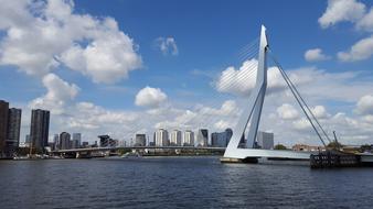 Rotterdam Bridge Architecture river