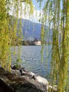 a lake hidden in the foliage
