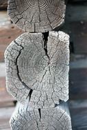 closeup photo of Old Wood Hut Beam