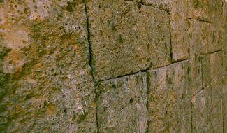 moss on a brick stone wall, close-up