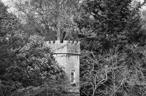 Black and white photo of the beautiful, old tower, among the trees