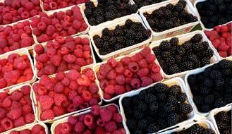 delicious berries in a box