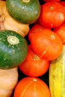 tasty healthy vegetables harvest