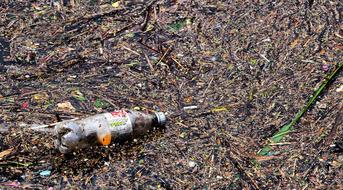 forgotten discarded bottle