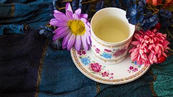 blooming flowers near the tea