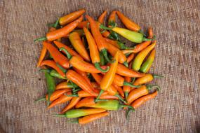 spicy crop of orange peppers