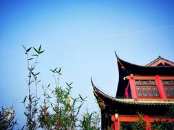 chinese style building in the park