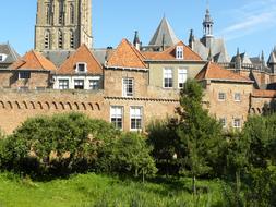 Beautiful and colorful houses of Zutphen, Netherlands, with the green plants