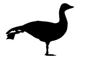goose silhouette morning exercise