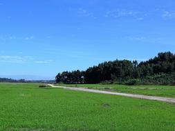 Plantation Sky Nature
