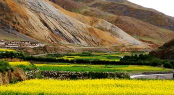 Mountain Cuture