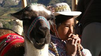 Child and Lama, peru