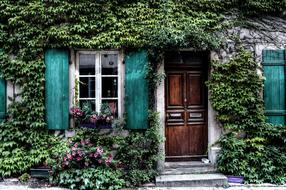 Ivy Facade House door