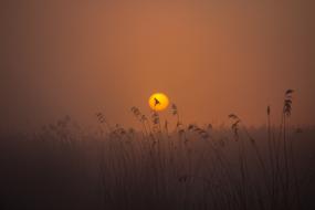 Sunrise Spring Lake Mood