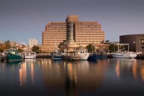 Menzies Institute for Medical Research in Australia