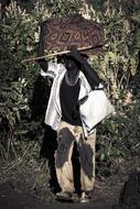 Person, traveling among the colorful plants in Ethiopia, in sunlight