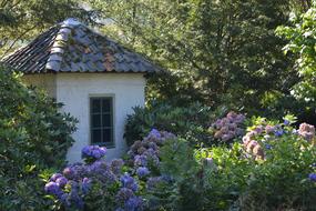 white big house with flowers