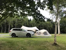 Camping Tent and Electric Vehicles in forest