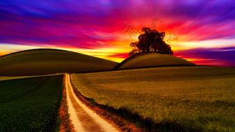 sunset field beautiful landscape