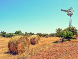 straw bales in the field
