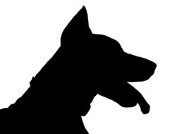 dog doberman silhouette black