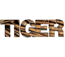 animals pet savage jungle