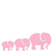 pink elephants baby elephants