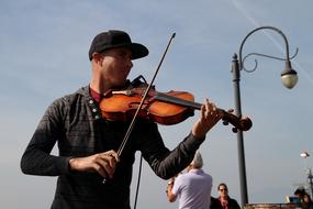 Los Angeles Musician performer