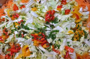 fresh tasty salad