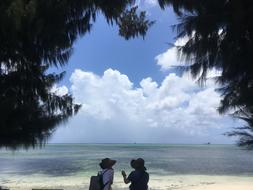 Sea Beach Nature Psy