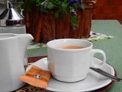 morning with coffee