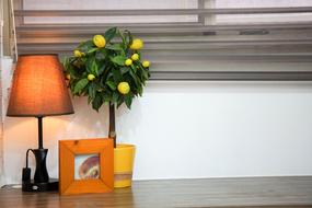 Table Decoration interior