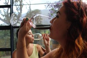 Wine Drinking Ladies