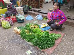 girl sells herbs