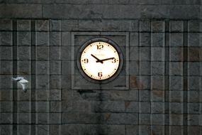 Beautiful, glowing clock in the colorful wall of the tower, and flying seagull bird