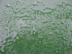 Close-up of the green surface with water drops with reflections